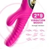 B Series Joy B serijos Joy Bunny Vibratorius daugiafunkcinis 22cm 2x9 režimai