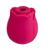 Boss Series B Series Lyla Masažuoklis bekontaktis klitorio spenelių masažuoklis su roze, USB