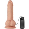 BAILE-Beautiful Zebulon Vibration 7.6""""