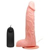 Baile Vibrators Baile Super Rota Rotating System 20.5 cm TPR Intimate Device