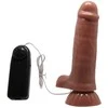 Pretty Love BAILE Minkštas ir lankstus tikroviškas dildo su vibracija