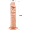BAILE Realistiškas varpos dildo su siurbtuku, 20 cm