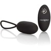 Calexotics Jajko/wibr-REMOTE RECHARGEABLE EGG Juodas