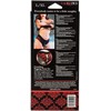 CalExotics Scandal L/XL Harness Panty Set with Silicone Attachment