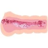 CRAZY BULL- REALISTIC 3D VAGINA, Vanduo lubricant