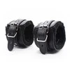 Dreamtoys BLAZE ULTIMATE PRIEVAROS RINKINYS