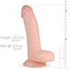 Easytoys Varpos siurbtukas dildo realistiškas varpos 22c