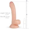 Easytoys Real Fantasy Vince Silicone Intimate Model 19.5 cm with Suction Base