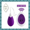 Feelz Toys FeelzToys - Anna Vibrating Egg Remote Deep Violetinė