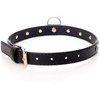 Fetish B Series Bdsm bondage dominantinė apykaklė 2cm odinė auksinė