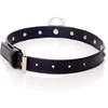Fetish B Series Bdsm bondage dominantinė apykaklė 2cm odinė tamsiai mėlyna