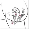 Fetish Collection Makšties veidrodis