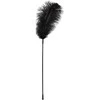 Juodas feather Bad Kitty