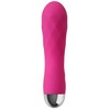 Leten Vibratore e massaggiatore Pro Delight