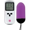 Lovers Premium LoversPremium - Vibrating Egg Violetinė