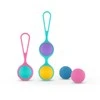 Pmv20 Vita - Kegel Ball Set