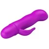 Pretty Love Flirtation LYBAILE Pretty Love Blithe Vibrator Rožinė