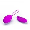 LYBAILE Pretty Love Joanne vibrating egg violetinė
