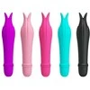 „Pretty Love Mini“ silikoninis vibratorius 10 funkcijų