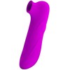 PRETTY LOVE - MAGIC FLUTE USB 12 Sunctions