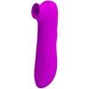 PRETTY LOVE - MAGIC FLUTE USB 12 Sunctions