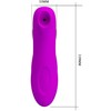 PRETTY LOVE - MAGIC FLUTE USB 12 Sunctions