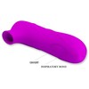 PRETTY LOVE - MAGIC FLUTE USB 12 Sunctions