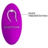 PRETTY LOVE - ALGERNON USB PURPLE 12 funkcija