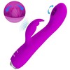 PRETTY LOVE C-TYPE Pretty Love Rachel Rechargeable Intimate Device Violet 12 Functions