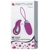 Pretty Love Vibrating kiaušinių nuotolinio valdymo pultelis klitorio masažuoklis 12 režimų