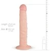 Real Fantasy Scott Model Anatomical Silicone with Suction Cup 21 cm rusvai gelsvas