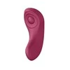 Satisfyer MAIŠELIO MAIŠELIS Partner Box Sexy Secret Panty Vibrator + Double Joy Partner Vibratoriaus vibratoriaus rinkinys