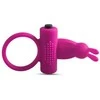 Toyz4Lovers Penio žiedas erekcijai su vibracija