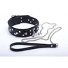 Whips Collections Odinė apykaklė vyrams smeigės bondage bdsm