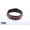Whips Collections Bindings-WHIPS vergas antkaklis su pavadeliu, konjakas