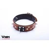 Whips Collections Bindings-WHIPS vyriška antkaklis su pavadėliu, konjakas