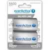 D / R20 Ni-MH everActive 5500 mAh Sidabrinis Line baterijos (2 vnt.)