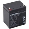 EUROPOWER EP serijos 12 V 5 Ah T1 AGM akumuliatorius (tarnavimo laikas 6–9 metai)