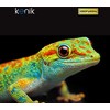 Belaidis HDMI ilgintuvas Kenik KG-EX20HDMI-W