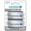D / R20 Ni-MH everActive 5500 mAh Sidabrinis Line baterijos (2 vnt.)
