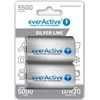 D / R20 Ni-MH everActive 5500 mAh Sidabrinis Line baterijos (2 vnt.)