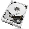Kietasis diskas HDD Seagate SkyHawk AI 10TB