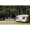 Fotopułapka - Kamera leśna - Orllo Huntercam 6 SIM su zasilaniem solarnym