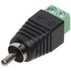 TST JUNGIAMASIS ELEMENTAS CINCH-W/S*P10