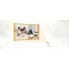 IMOU IPC-C32EP Indoor IP Camera