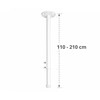 Carruzzo Laikiklis Camsafe CS30-PS balta