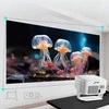 Projektorius Zenwire IMC460 Pro