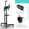 Laikiklis Mobilus televizoriaus stovas 40"-70" iki 45 kg ONKRON TS1551 juodas