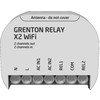 GR1 „Grenton“ relinio išėjimo modulis (2 išėjimai) / įleidžiamas / su „Wi-Fi“