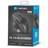 Natec Pelė, BlackBird 2, Silent, Wireless, 1600 DPI, Optinė, Juodas | Natec | Pelė | Optinė | Wireless | Juodas/Gray
